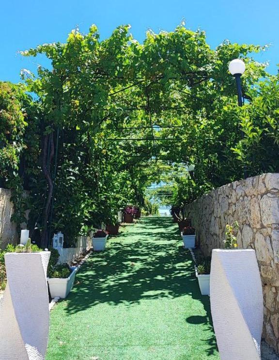 B&B Villa Antonella 피아차암머리나 외부 사진