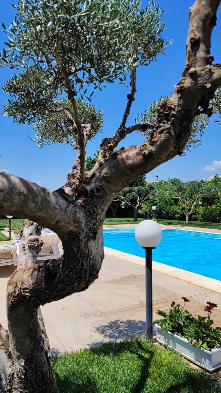 B&B Villa Antonella 피아차암머리나 외부 사진